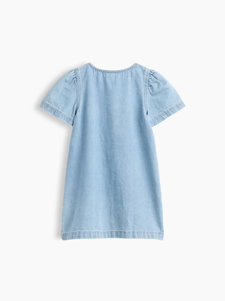 Baby & Toddler Denim Shirtdress