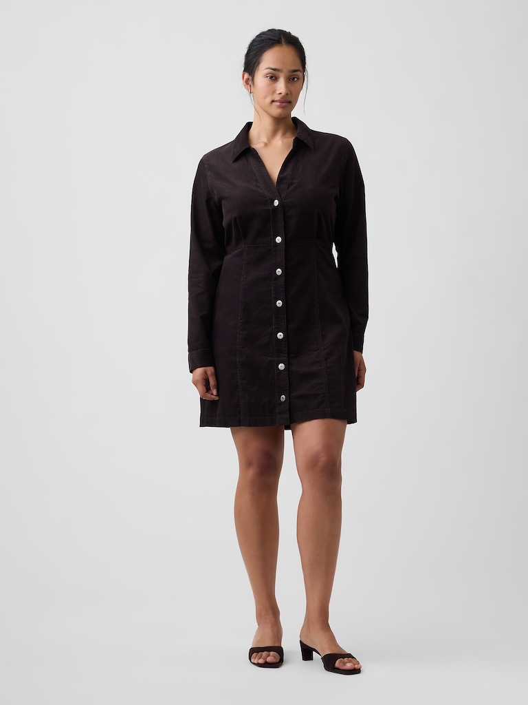 Fitted Collared Mini Dress