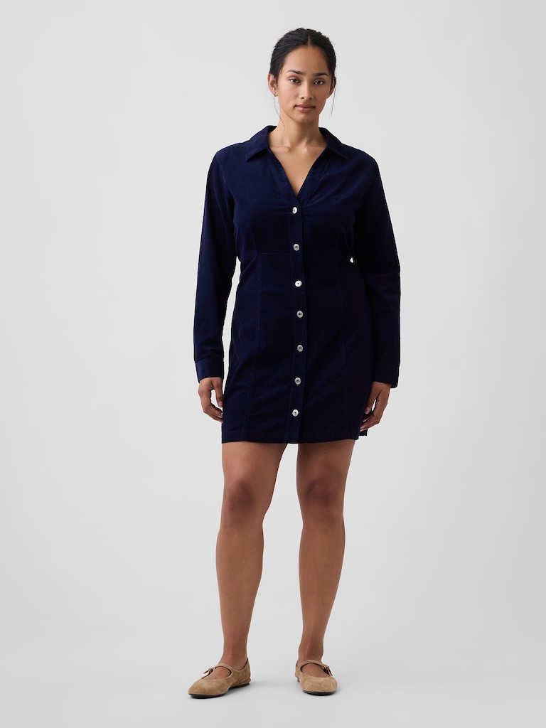 Fitted Collared Mini Dress