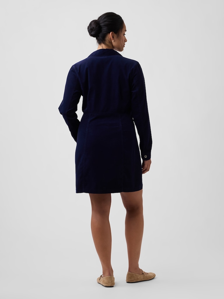 Fitted Collared Mini Dress