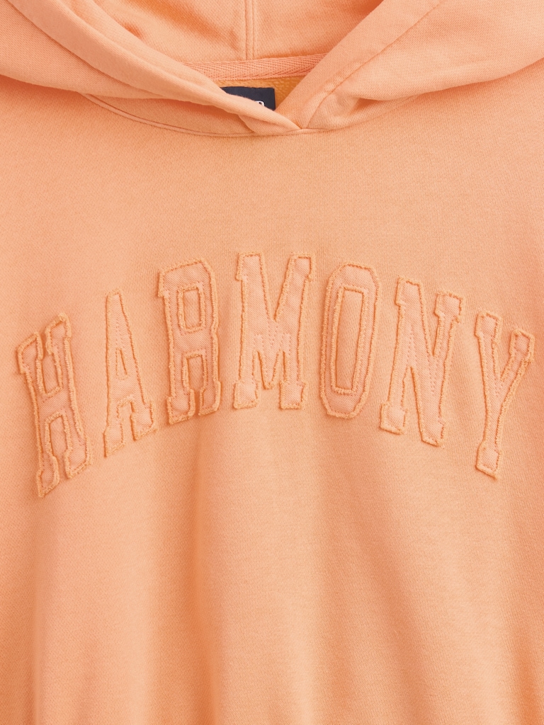 VintageSoft Logo Crop Hoodie