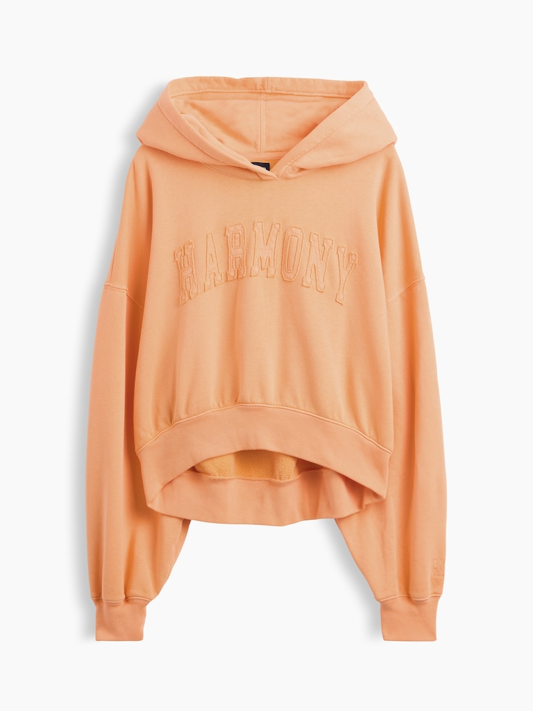 VintageSoft Logo Crop Hoodie