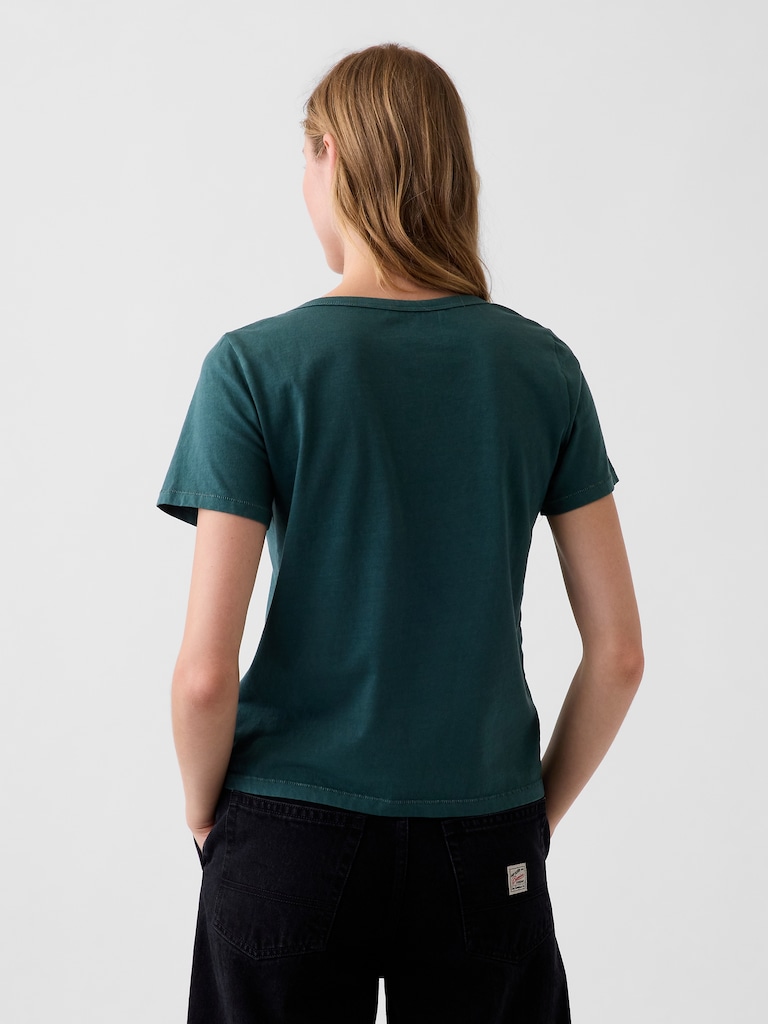 Organic Cotton VintageSoft V-Neck T-Shirt