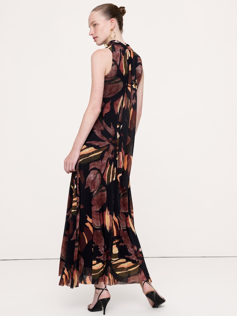 Mesh Tie-Neck Maxi Dress