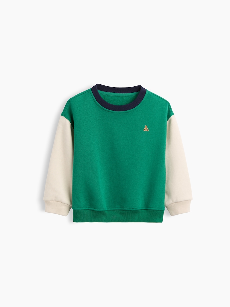 Baby & Toddler VintageSoft Colorblock Sweatshirt