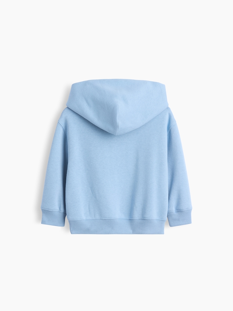 Baby & Toddler VintageSoft Relaxed Hoodie