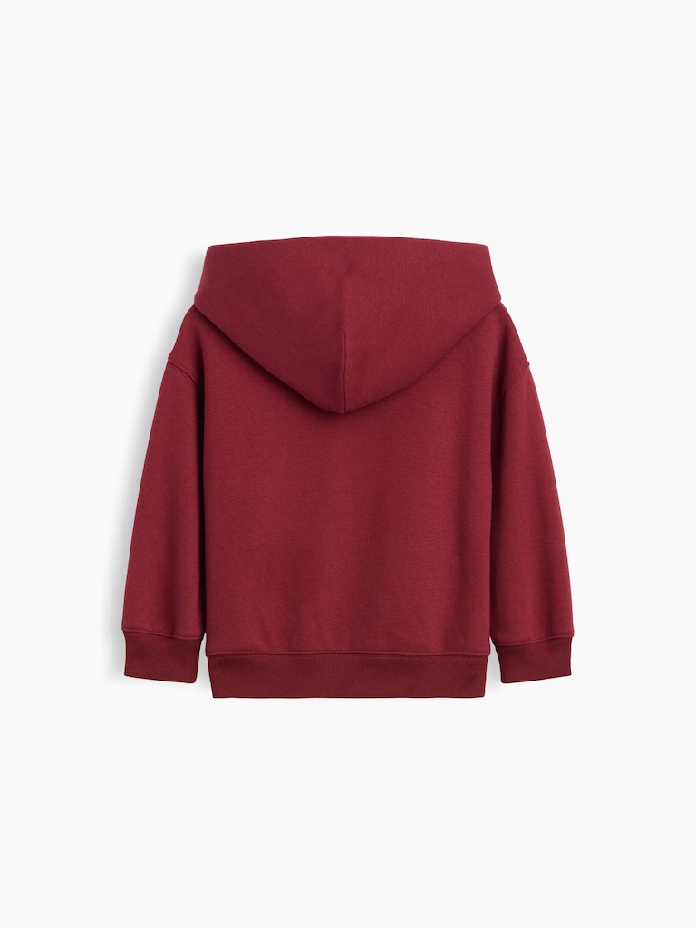 Baby & Toddler VintageSoft Relaxed Hoodie