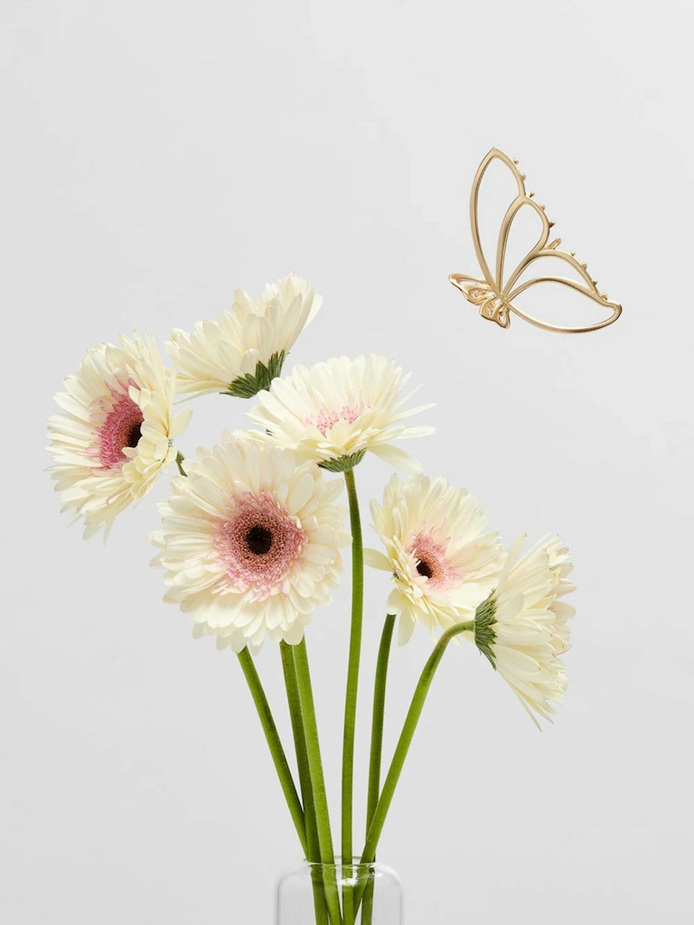 The Hair Edit Gilded Wing Clip