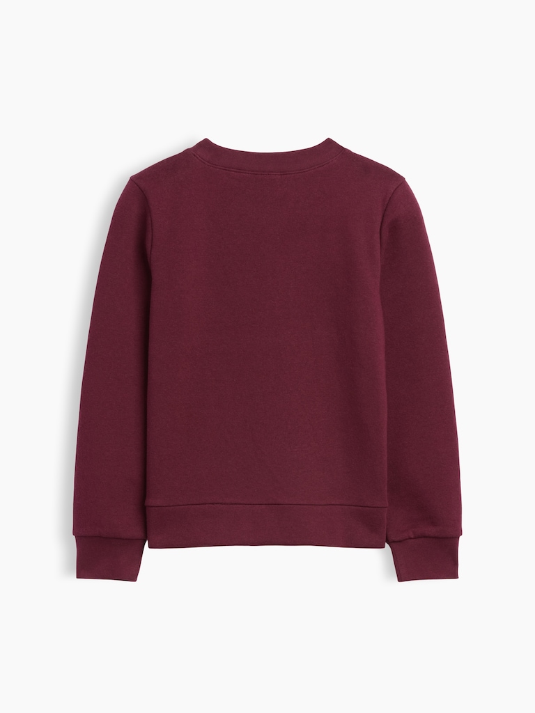 Kids Graphic Sweatshirt