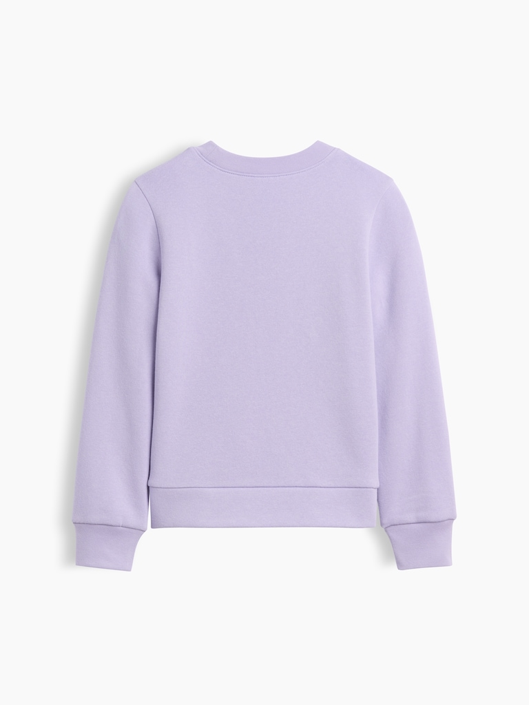 Kids Crewneck Graphic Sweatshirt