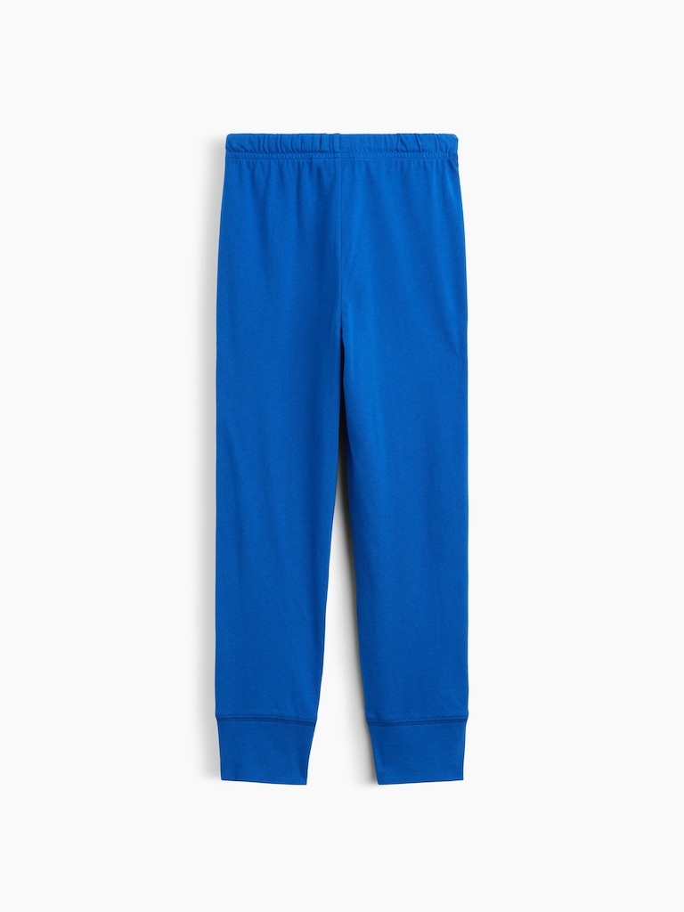 babyGap Pull-On Brannan Bear Joggers
