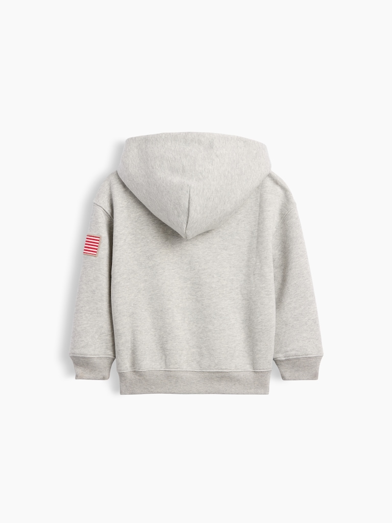 Baby & Toddler VintageSoft Logo Hoodie
