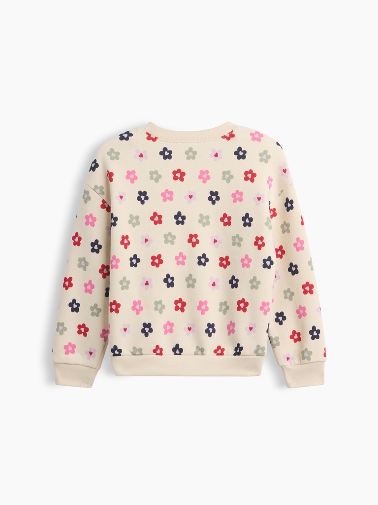 babyGap Crewneck Sweatshirt