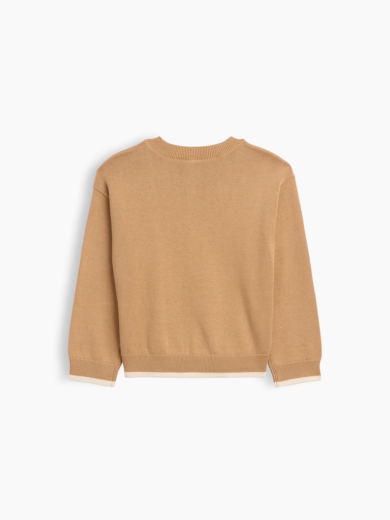 babyGap Intarsia Crewneck Sweater