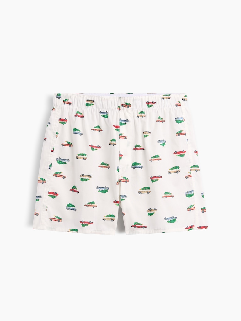 4" Boxers