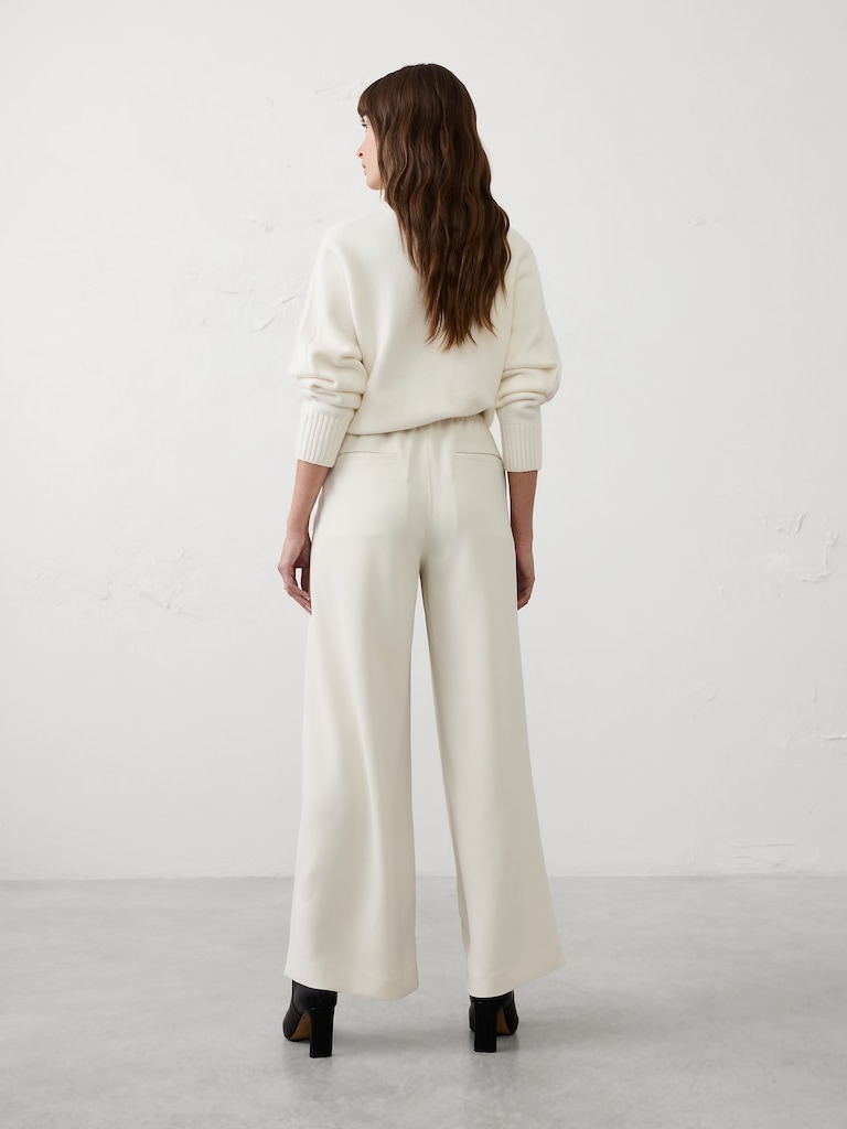 Wide-Leg High-Rise Crepe Pleated Trouser