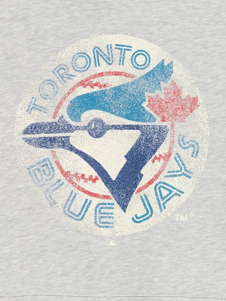 Toronto Blue Jays Pullover Hoodie for Men