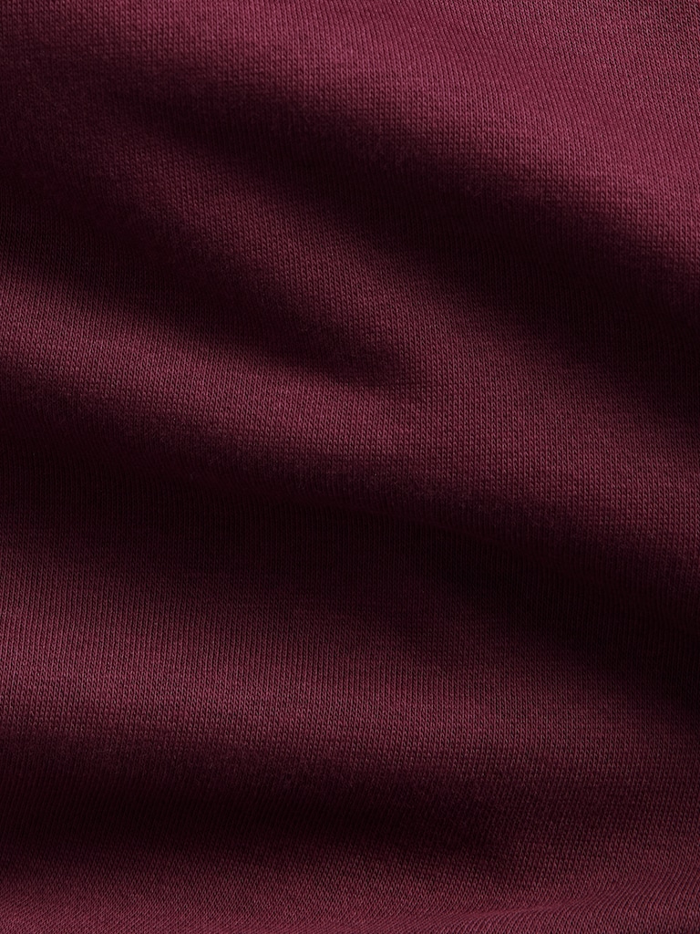 VintageSoft Crop Logo Hoodie