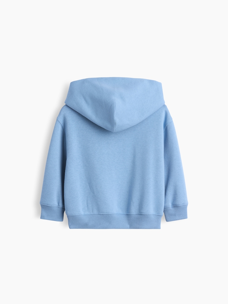 Baby & Toddler VintageSoft Relaxed Hoodie